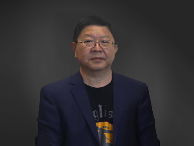 集团公司高级顾问 何先生