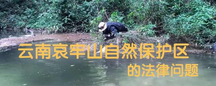 上海霖得泓律所关注：云南哀牢山自然保护区的法律问题