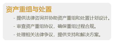 不良资产-06.png