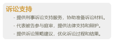 刑事辩护-03.png