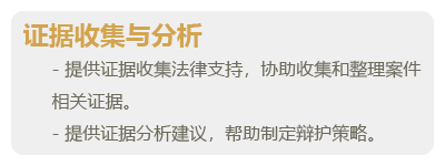 刑事辩护-04.png