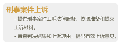 刑事辩护-05.png