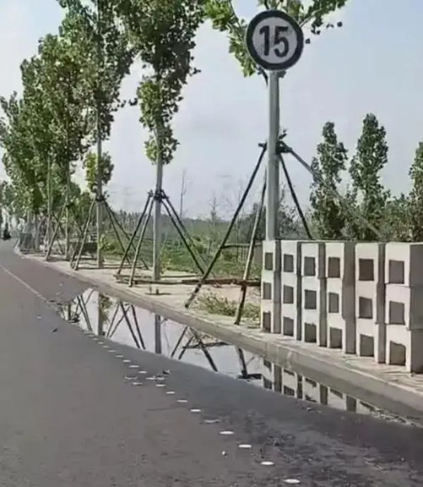 涉事路段照片